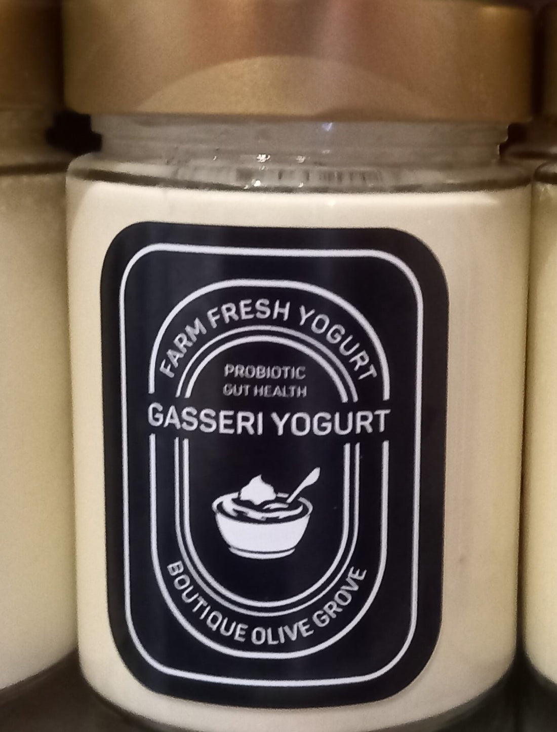 L. Gasseri Yogurt from Boutique Olive Grove