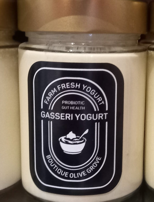 L. Gasseri Yogurt from Boutique Olive Grove