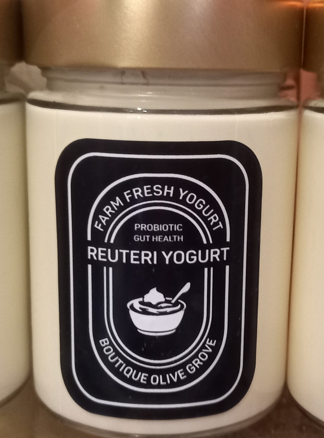 L. Reuteri Yogurt from Boutique Olive Grove