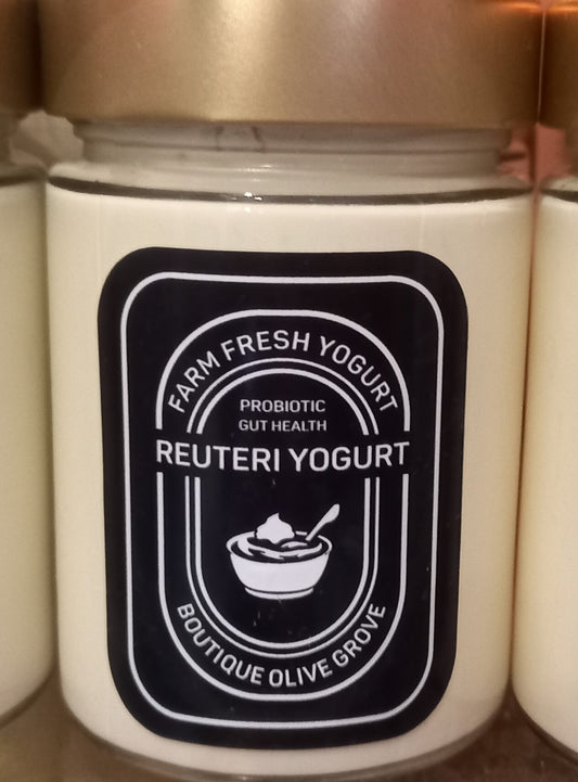 L. Reuteri Yogurt from Boutique Olive Grove