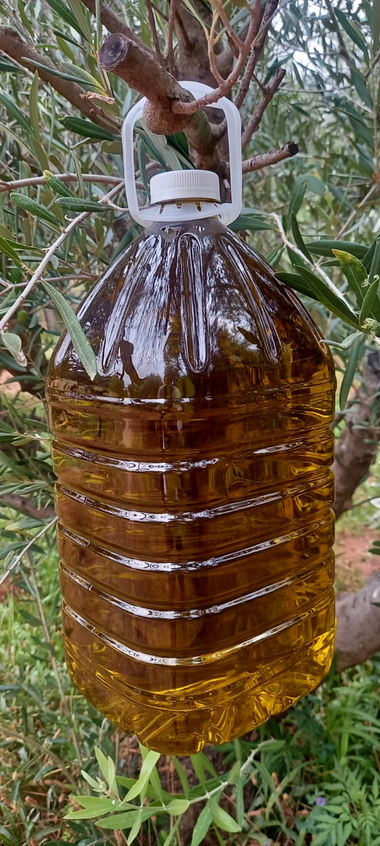 Karoo Extra Virgin Olive Oil — 5 Litre | Boutique Olive Grove